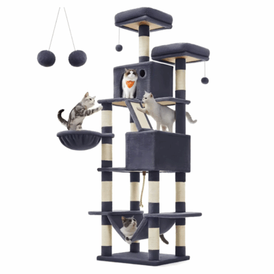 Climbing Frame Nest