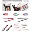 Outdoor safety leash