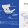 Pet Diapers