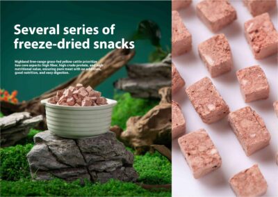 π variety of freeze-dried snacks