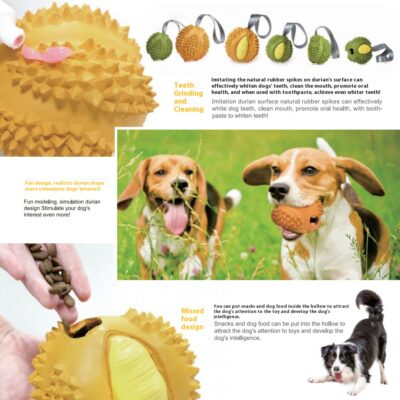 durian